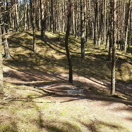 アパート Marzanna W Willi Na Klifie *